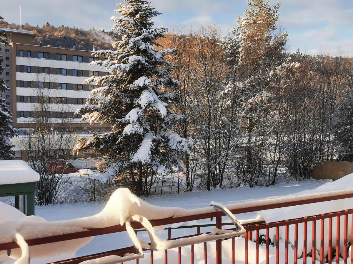 Penzion Zornicka Bardejovské Kúpele Esterno foto