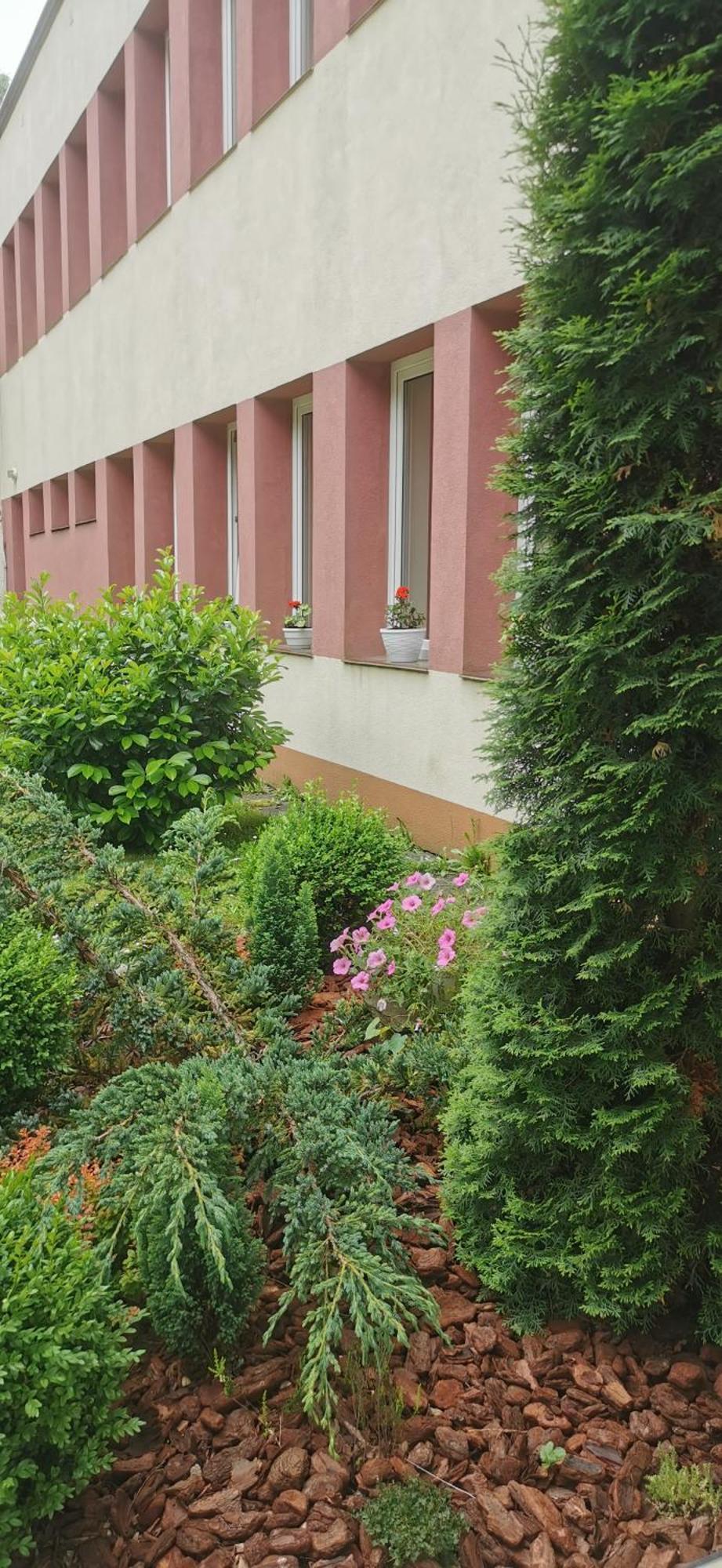 Penzion Zornicka Bardejovské Kúpele Esterno foto