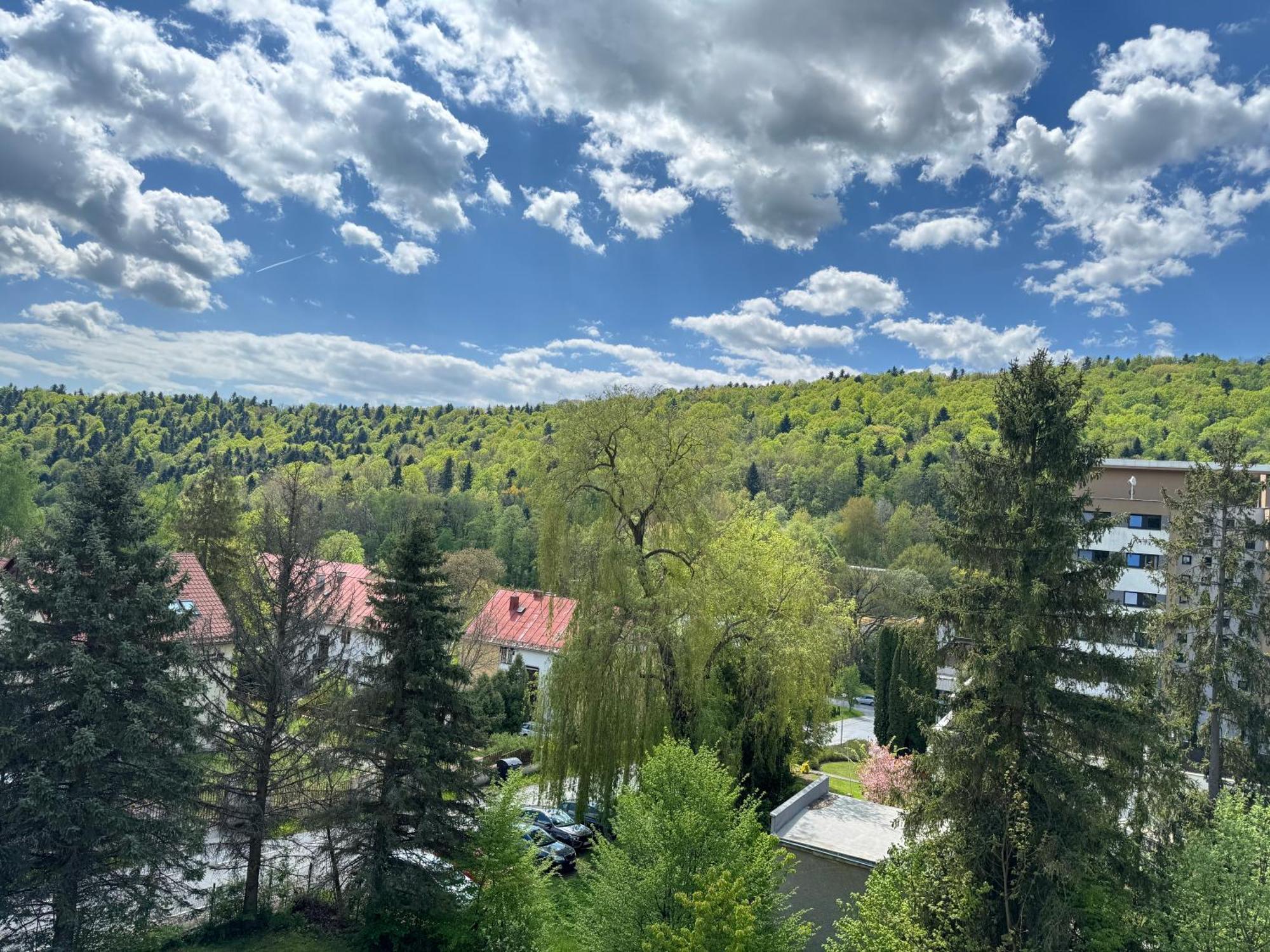 Penzion Zornicka Bardejovské Kúpele Esterno foto