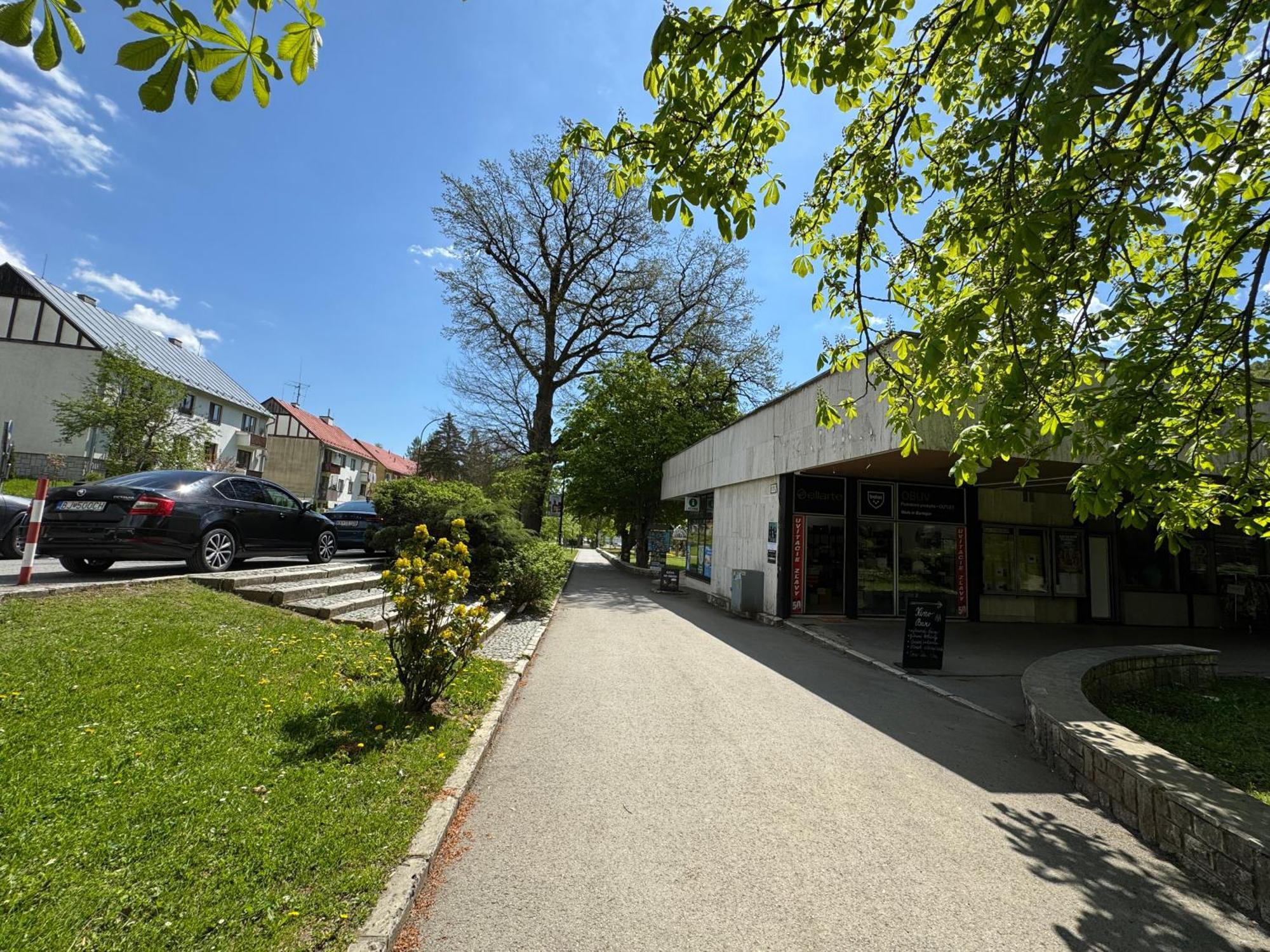 Penzion Zornicka Bardejovské Kúpele Esterno foto