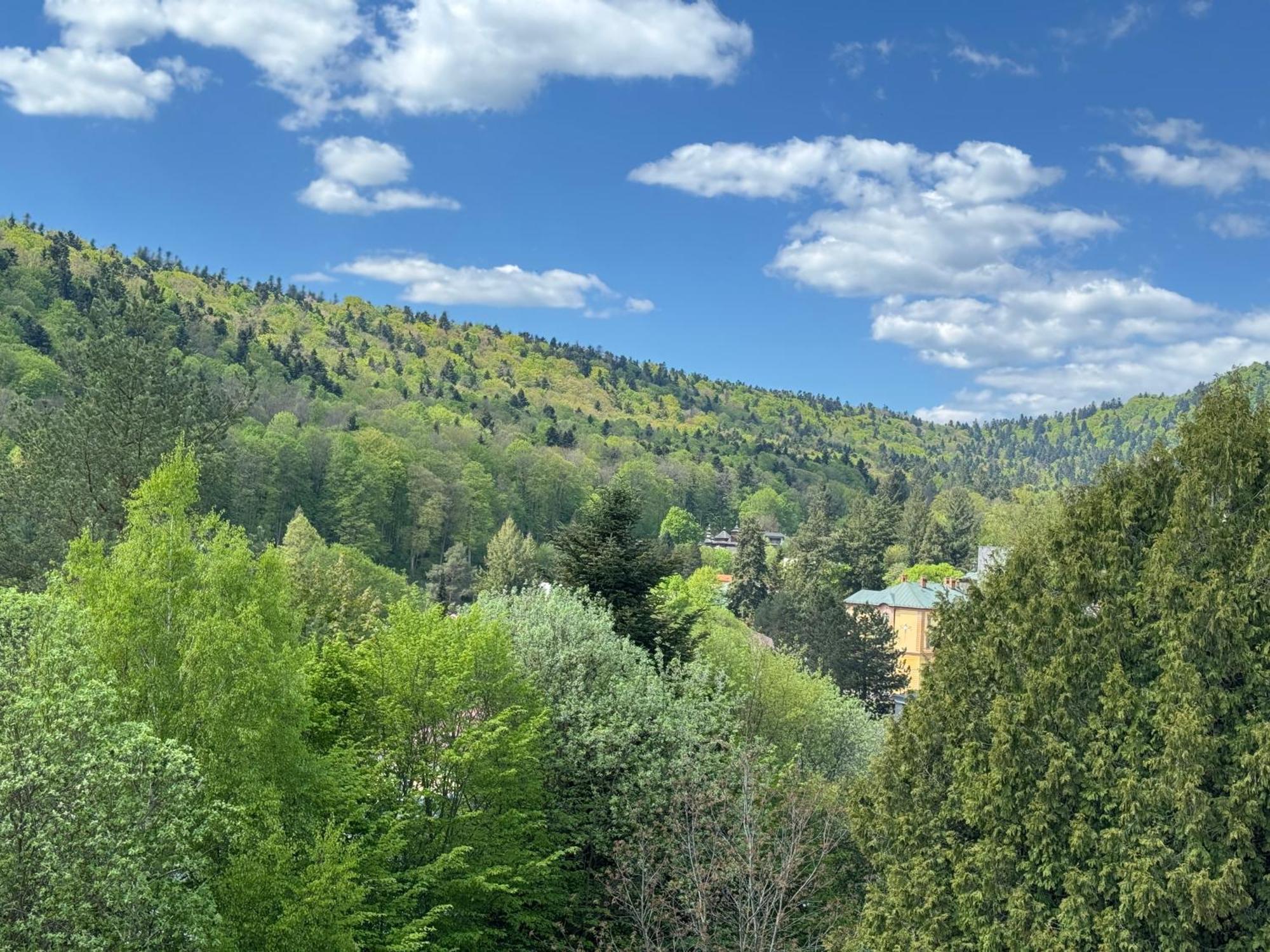 Penzion Zornicka Bardejovské Kúpele Esterno foto