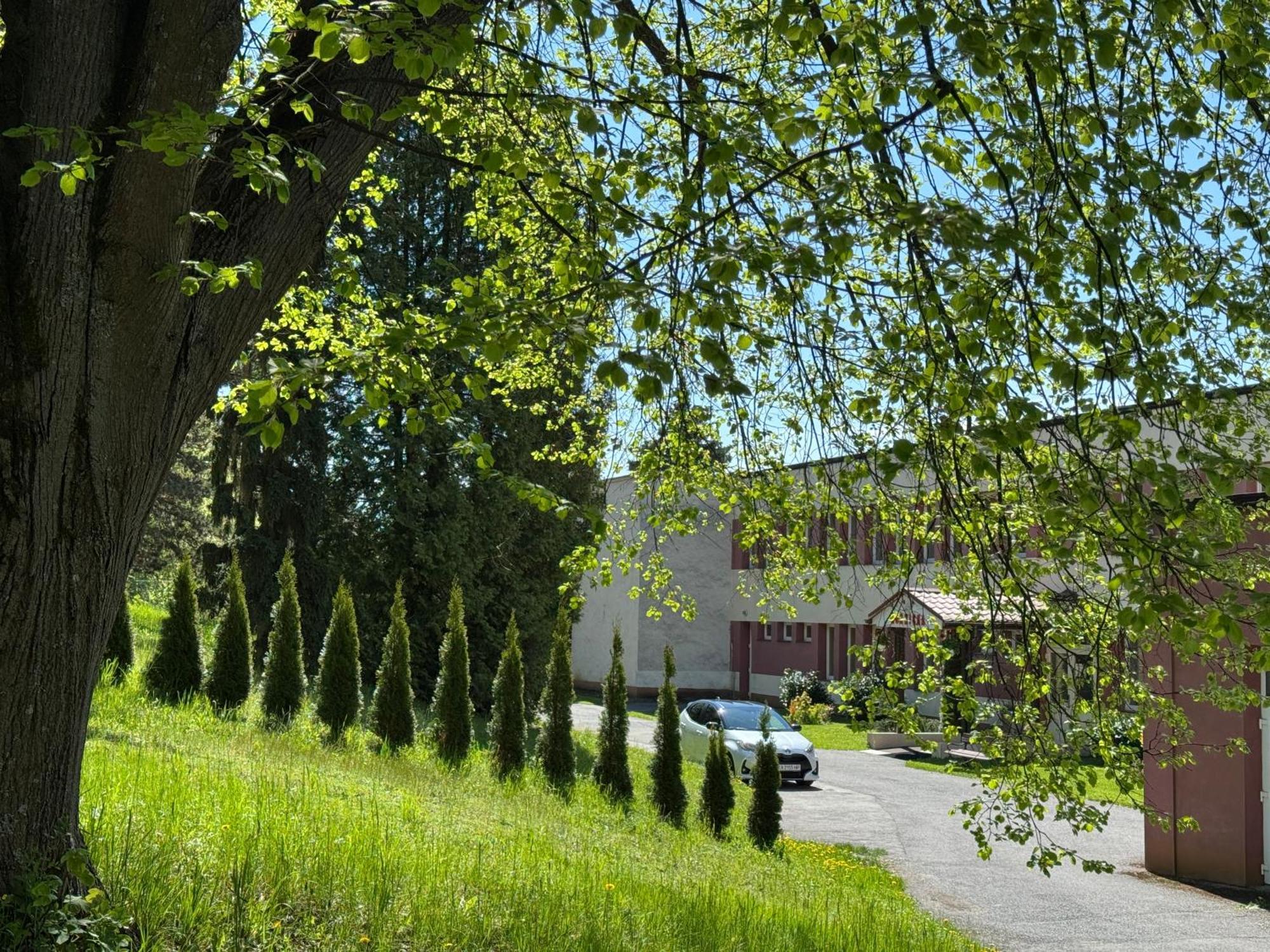 Penzion Zornicka Bardejovské Kúpele Esterno foto